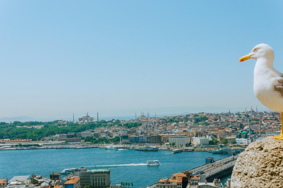 MADINAH – JEDDAH - ISTAMBUL
